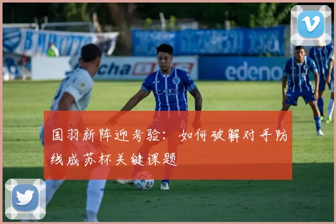 国羽新阵迎考验：如何破解对手防线成苏杯关键课题