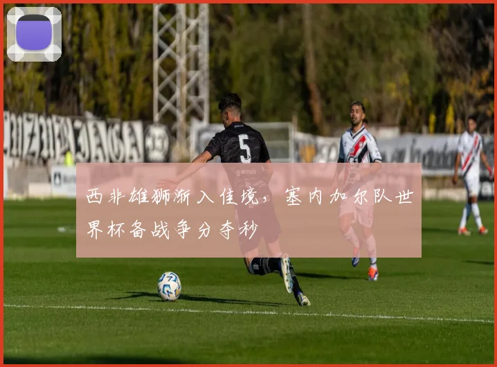 西非雄狮渐入佳境，塞内加尔队世界杯备战争分夺秒